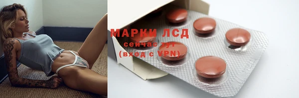 хмурый Алзамай