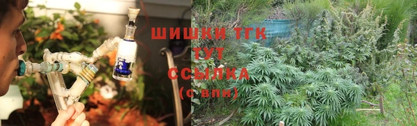 сатива Алексин