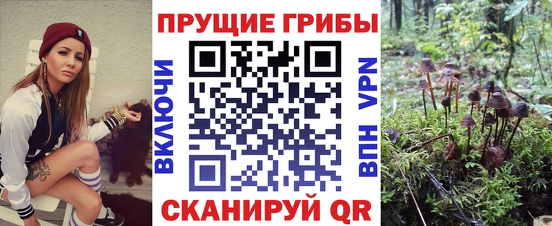 hydra ССЫЛКА Белоярский Галлюциногенные грибы Magic Shrooms
